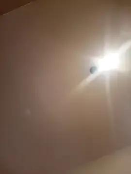 lotteliefde1 on StripChat 