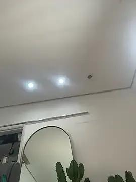 Nikatsu — Pussy pump + control vulse