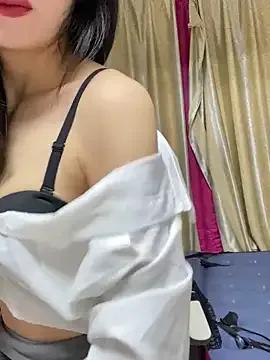 petoys — 4000